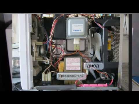 Когда лучше сажать саженцы дуба 56