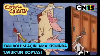 İnek Ve Tavuk Tavukun Kopyası Kısa Sahneler