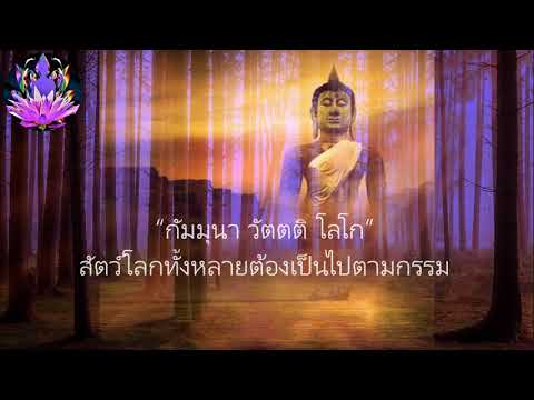 11 หลับสบาย ด้วยการฟังธรรม ปล่อยวางก่อนนอน เรื่องเล่า ชุดกฏแห่งกรรม ตอนสัจจบารมี