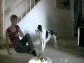 Perro haciendo lo que hace su dueña