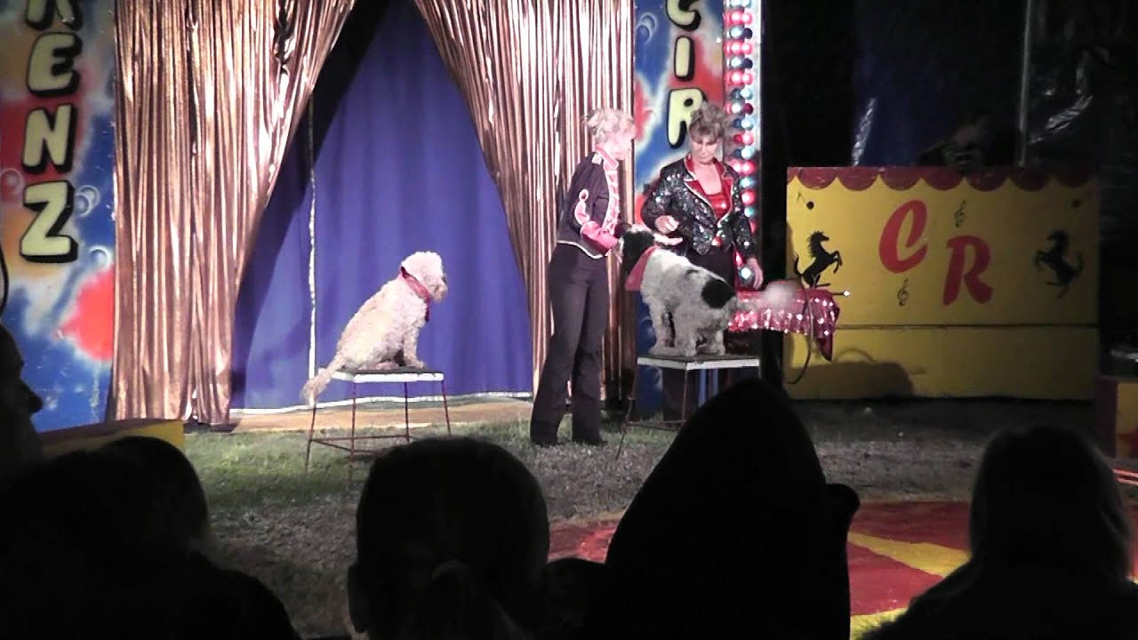 zirkus spiele zirkus spiele