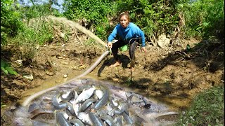 Fishing Exciting - Catch A Lot Of Fish In The Lake By Using The Pump To Drain The Water In The Lake