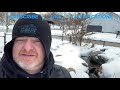 WINTER PONDS. Stunning sights and sounds