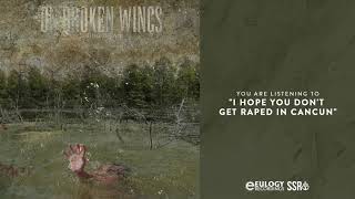 Watch On Broken Wings I Hope You Dont Get Raped In Cancun video