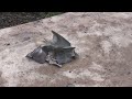 Амвросиевка  15.06.14 г. (Часть 3)