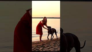 Beautiful Girl Love Dog
