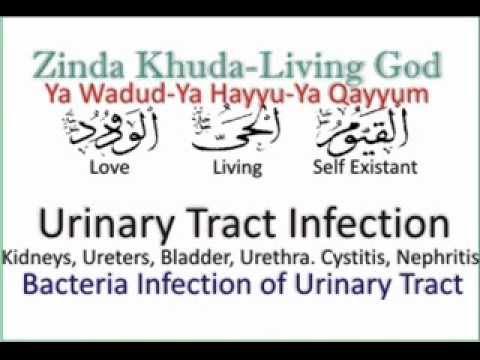 Can Bladder Infection Cause Weight Loss Cat Can Bladder Infection Cause Weight Loss Cat