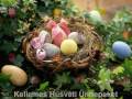 Kellemes Húsvéti Ünnepeket! - I wish you a Happy Easter!