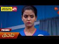 Kayal - Promo | 13 April 2024  | Tamil Serial | Sun TV