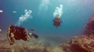 Scuba Diving Sharks Cove (GoPro Hero 5) / Haleiwa, Oahu