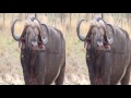 Updated 3d Africa images Updated 3d Africa