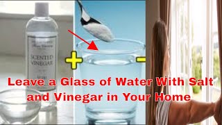 Leave a Glass of Water With Salt and Vinegar in Your Home and See Unbelievable Changes in 24 Hours!