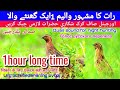 quail sounds 1 hour / Batair ki Awaz 1hour 2024 / Batair ki awaz 1 ghante