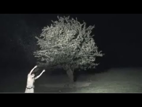 Soweit Die Füße Tragen Video