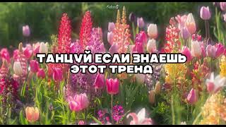 🌷 танцуй если знаешь этот тренд 🌷