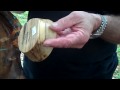Jim Watson @ Art in the Park 2010