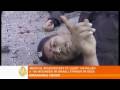 Israel launches missile attacks on Gaza - 27 Dec 08