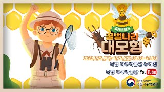 [온라인 6월 공연]  파브르 곤충기: 꿀벌나라 대모험 Youtube 1
