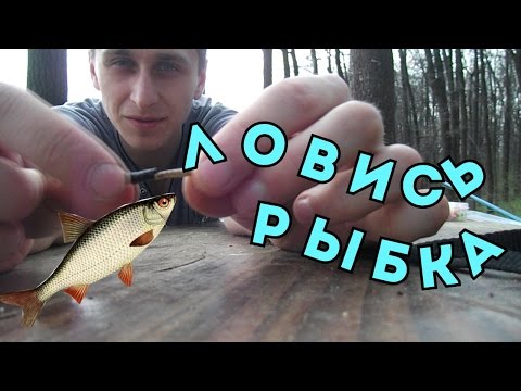 снасть на воблу весной видео снасть на воблу весной видео