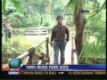 Inspirasi Perjuangan Wirausaha Cak Eko images Inspirasi Perjuangan Wirausaha Cak Eko