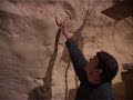 lascaux caves