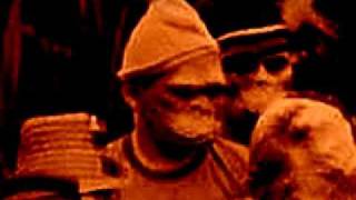 Watch Black Flag Shed Reading (rattus Norvegicus) video
