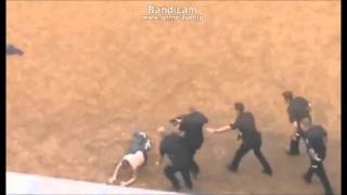 Watch Beanbag Disturbed video