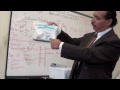 image Cosmetology State Board Exam Practical Requirements And Kit Demo