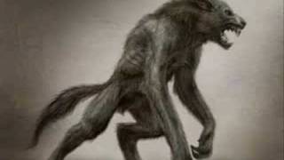 Mythical Creatures (Lots are anime)