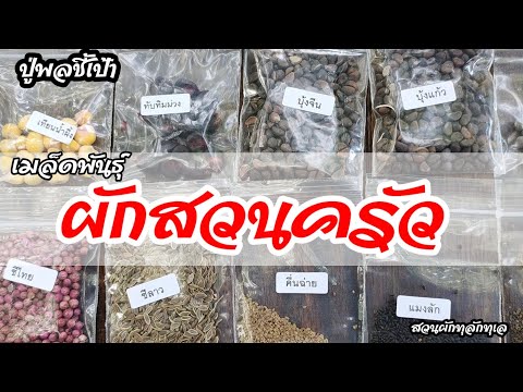 ปู่พลชี้เป้า เมล็ดพันธุ์ผักสวนครัว 24 รายการ 129 บาท
