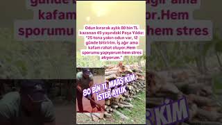 Paşa Yildiz Odun Kirarak Stres Atiyorum Aylik 80 Bi̇n Tl Maaş Kazaniyorum