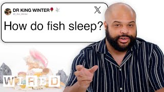 Watch Fish Question video