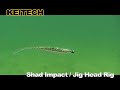 Shad Impact / Jig Head