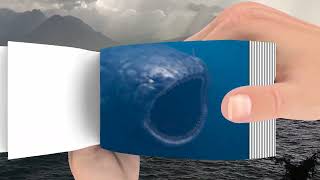 The Bloop 2022 - Flipbook