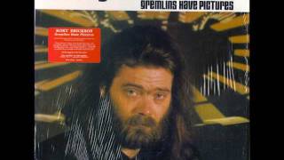 Watch Roky Erickson Sweet Honey Pie video