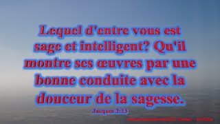 Jacques 313 - Français