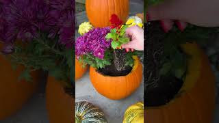 Pumpkin Flower Planters