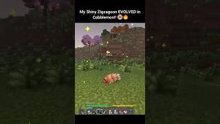 My Shiny Zigzagoon Evolved In Cobblemon