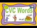 Phonics CVC Words Reading with Phoneme Fingers