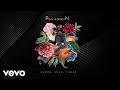 Palankin - Corre, João, Corre (Pseudo Video)
