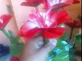 FLORES DE GARRAFA PET TEL PARA CONTATO 7188396703