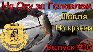 Видео о рыбалке №1675