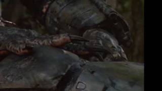 Watch Austrian Death Machine If It Bleeds We Can Kill It video