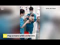 Top 40 Viral Videos of the Year 2018