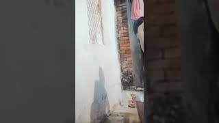 Dekhte Jao ..