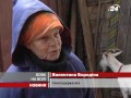 Видео Вулицями Донецька блукає вовк