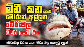 Video Tour of Beruwala lagest fish market, Sri lanka