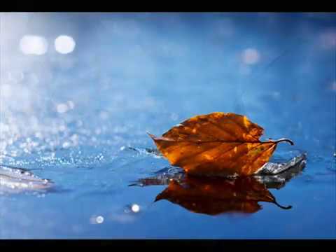 PHOTO IN WATER: Live Wallpaper — живые обои Фото в воде