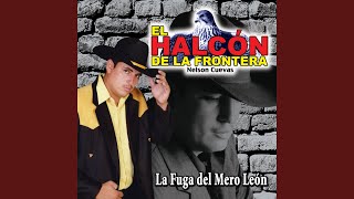 Me Puse A Jalar Solito