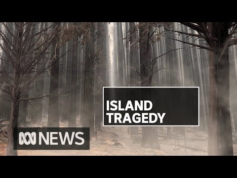 Kangaroo Island fires continue as locals count cost of damage to infrastructure, animals | ABC News